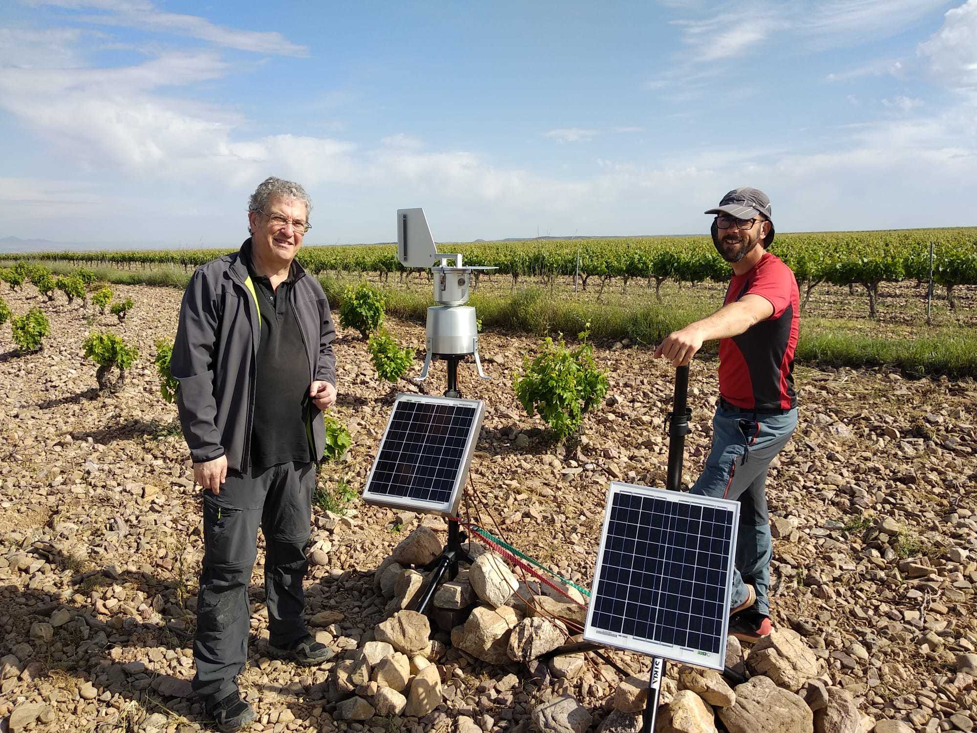“Nuestro objetivo es disminuir al máximo el número de tratamientos dados a la viña»