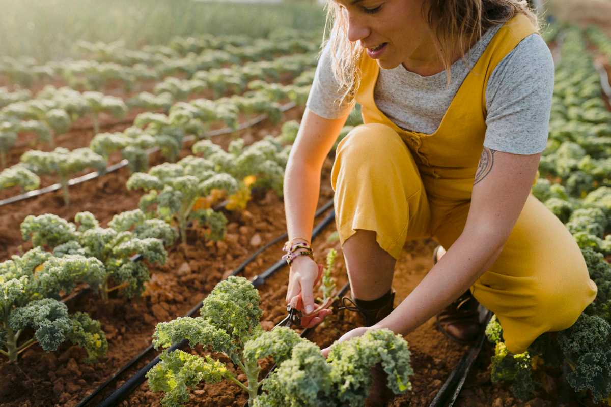 La agricultura ecológica, una apuesta clara por los «empleos verdes»