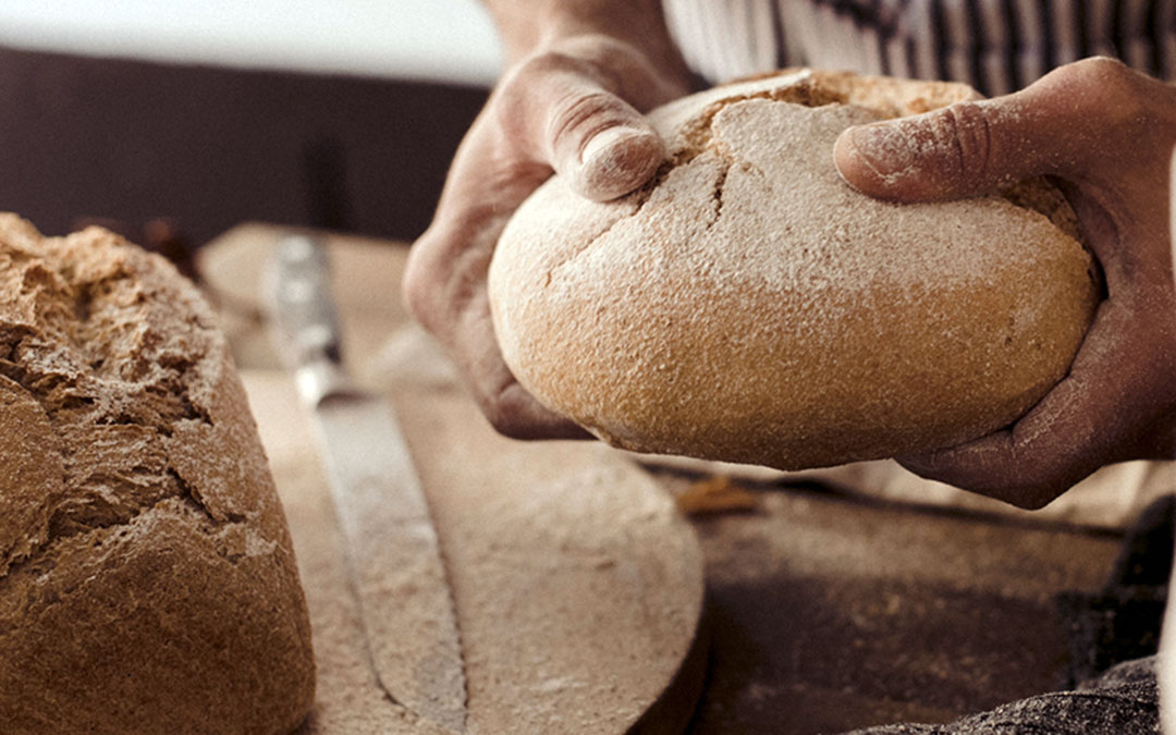 Aragón cierra 2020 con un 20% más de productores