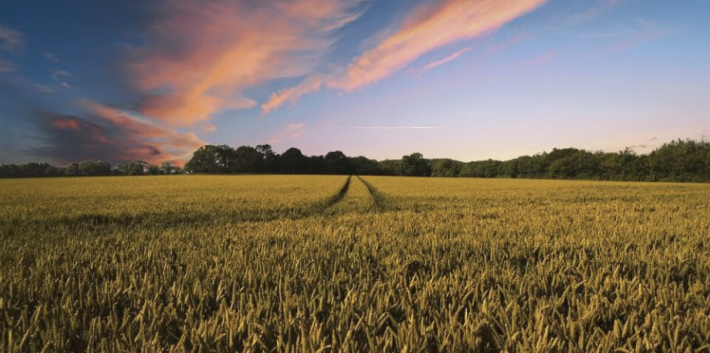 El Comité Europeo de las Regiones busca fomentar la agroecología en la UE