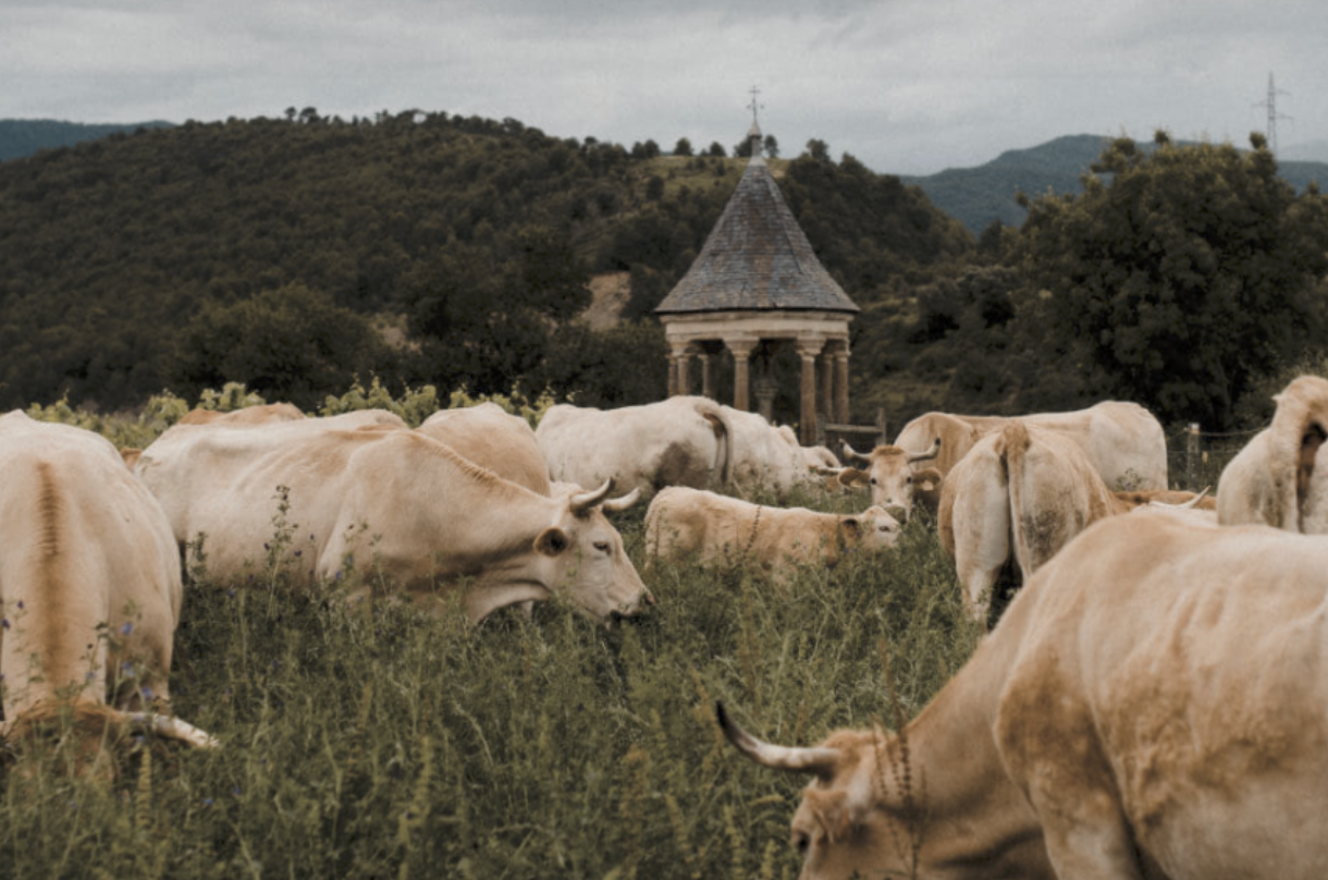 ¿Te interesa la Ganadería Ecológica?