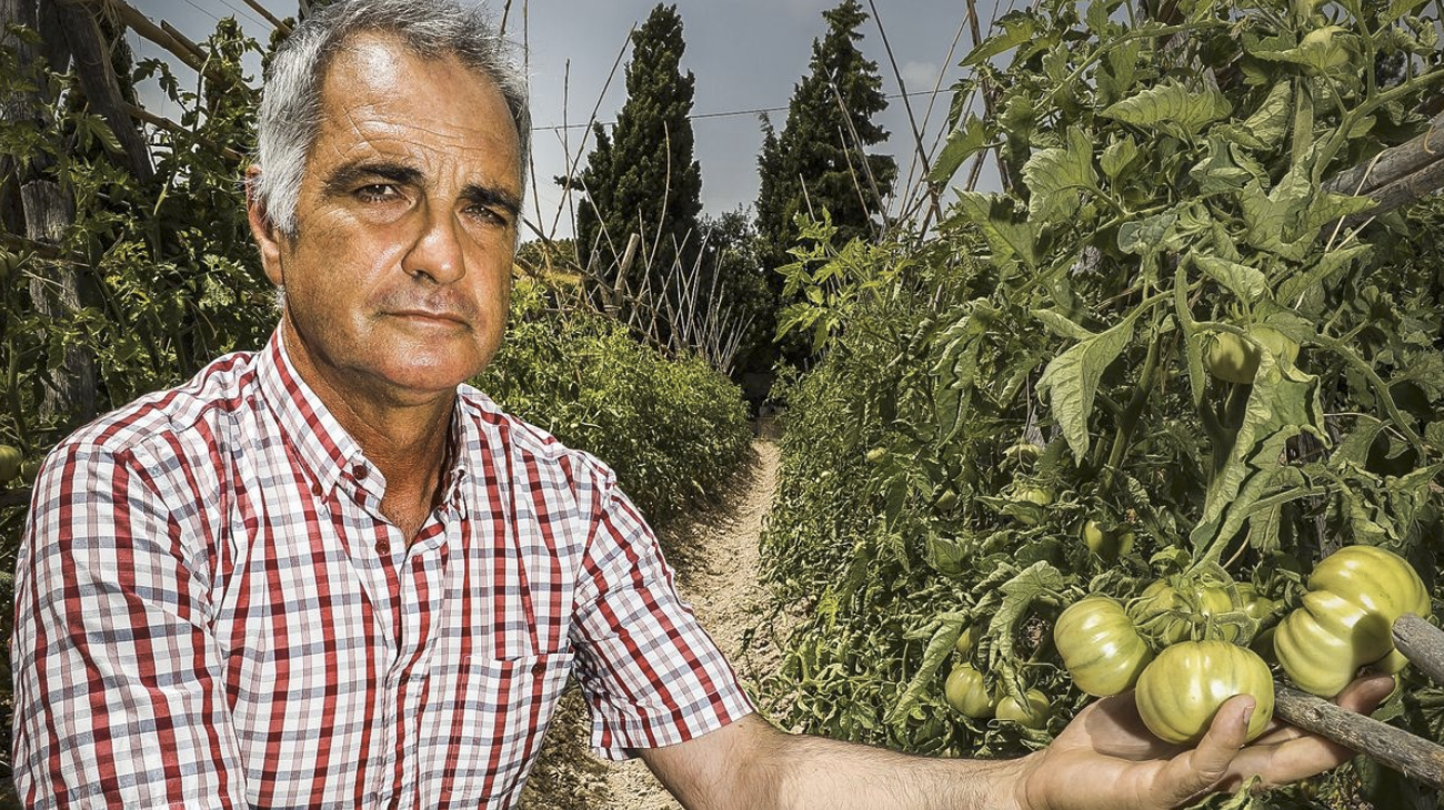 Nace el primer lobby ecológico valenciano para posicionar al sector hacia el futuro
