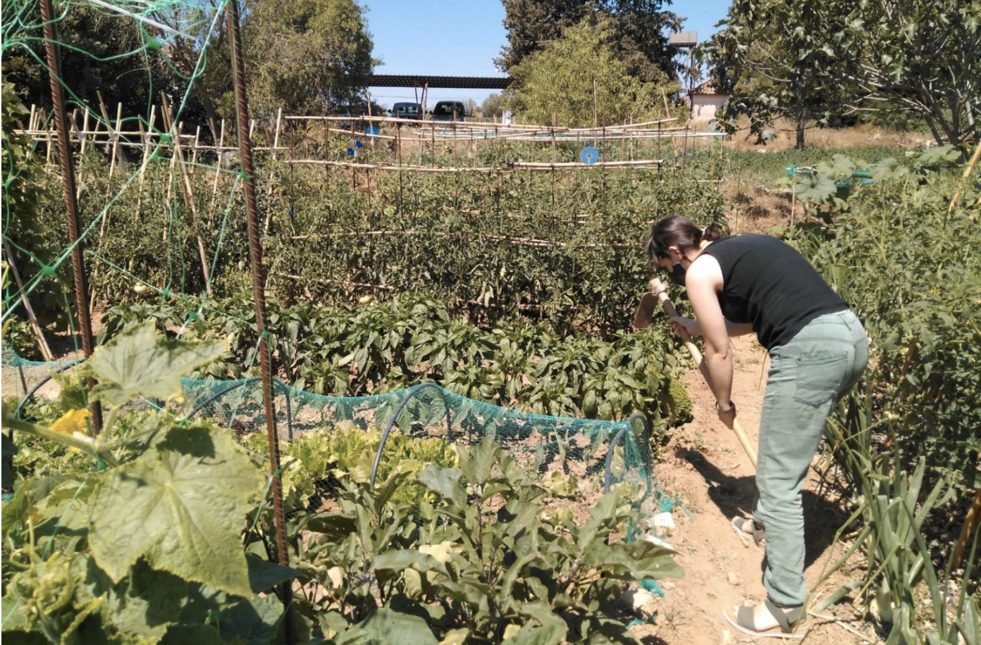 Binéfar asesora gratuitamente sobre agricultura ecológica