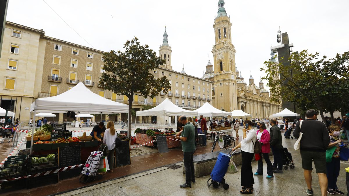 La muestra agroecológica: un oasis de frescor en mitad de la plaza del Pilar
