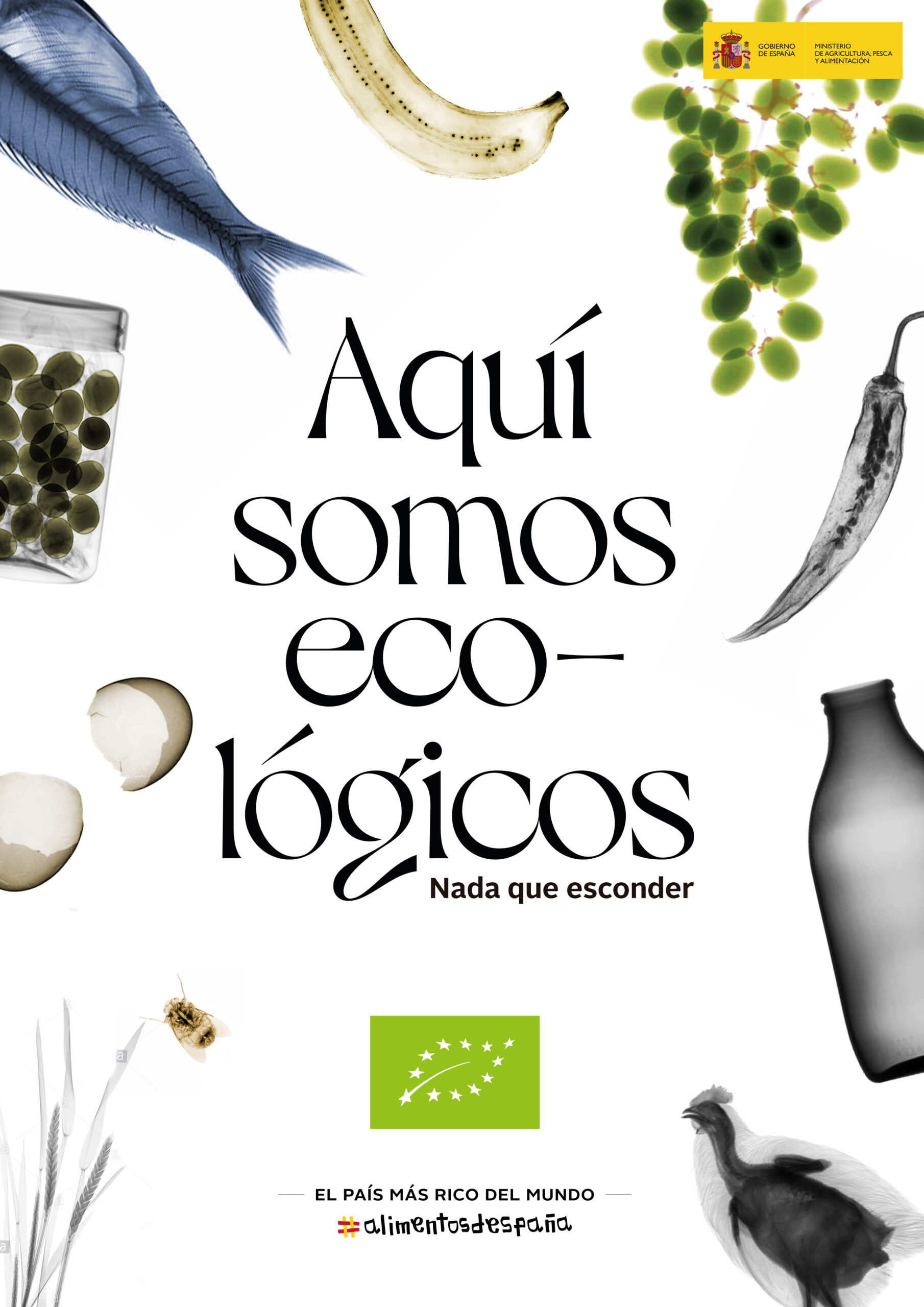 Luis Planas presenta una ambiciosa campaña para promocionar y divulgar los beneficios de los alimentos ecológicos