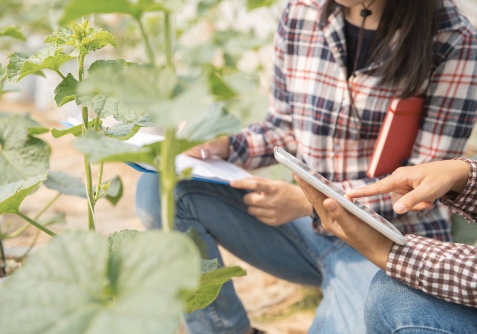 Convocatoria XIV Premios a la Innovación para Mujeres Rurales