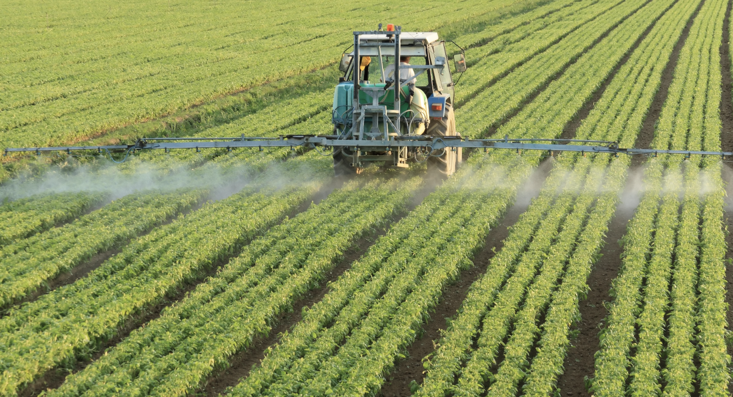 Los suscriptores de unas 63.000 pólizas contra la sequía percibirán desde ayer la subvención suplementaria al seguro agrario