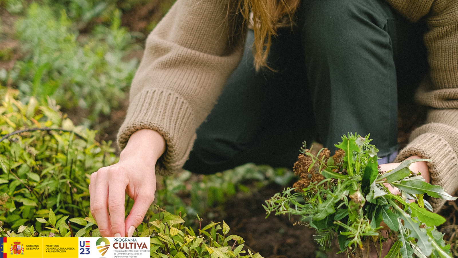 MAPA abre la convocatoria del programa CULTIVA 2023 para jóvenes agricultores y ganaderos