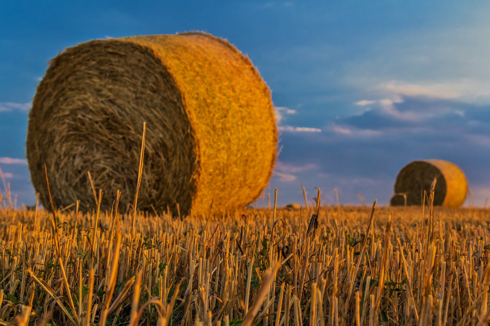 La renta agraria crece un 11,1 % en 2023 y se sitúa en 31.931 millones de euros