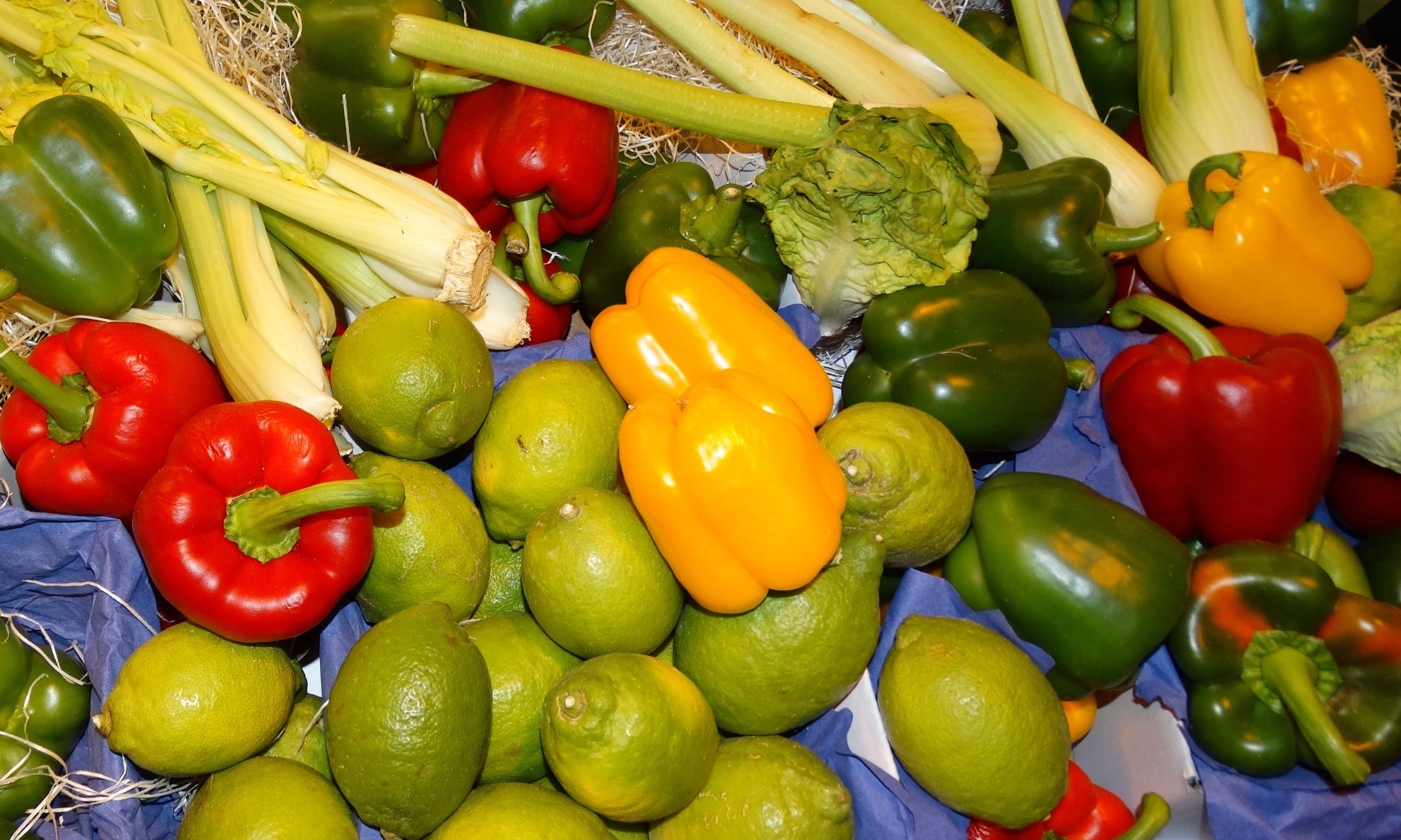 El valor de la producción hortofrutícola española supone el 53% de la producción vegetal española