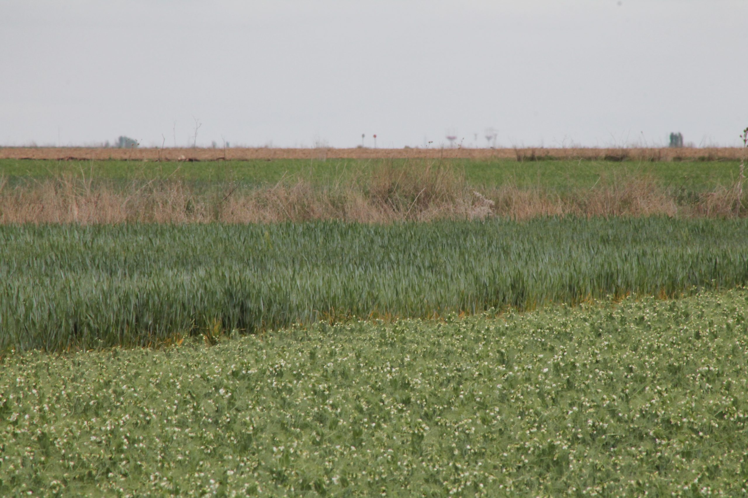 34.049,72 euros: Nueva Renta de Referencia en el Sector Agrario Español