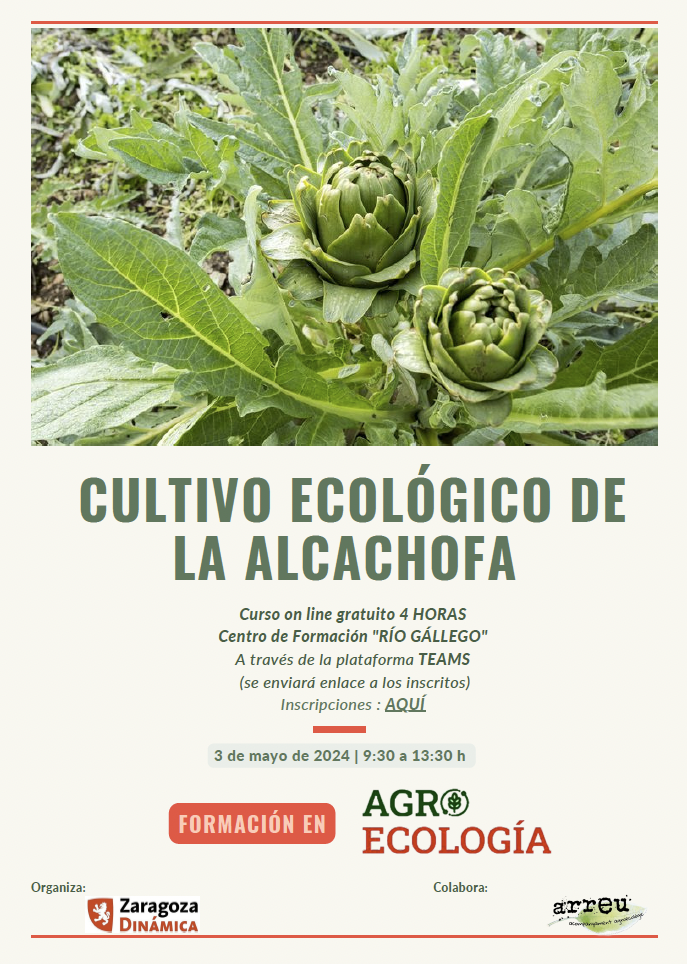 Curso «Cultivo ecológico de la alcachofa» de Zaragoza Dinámica