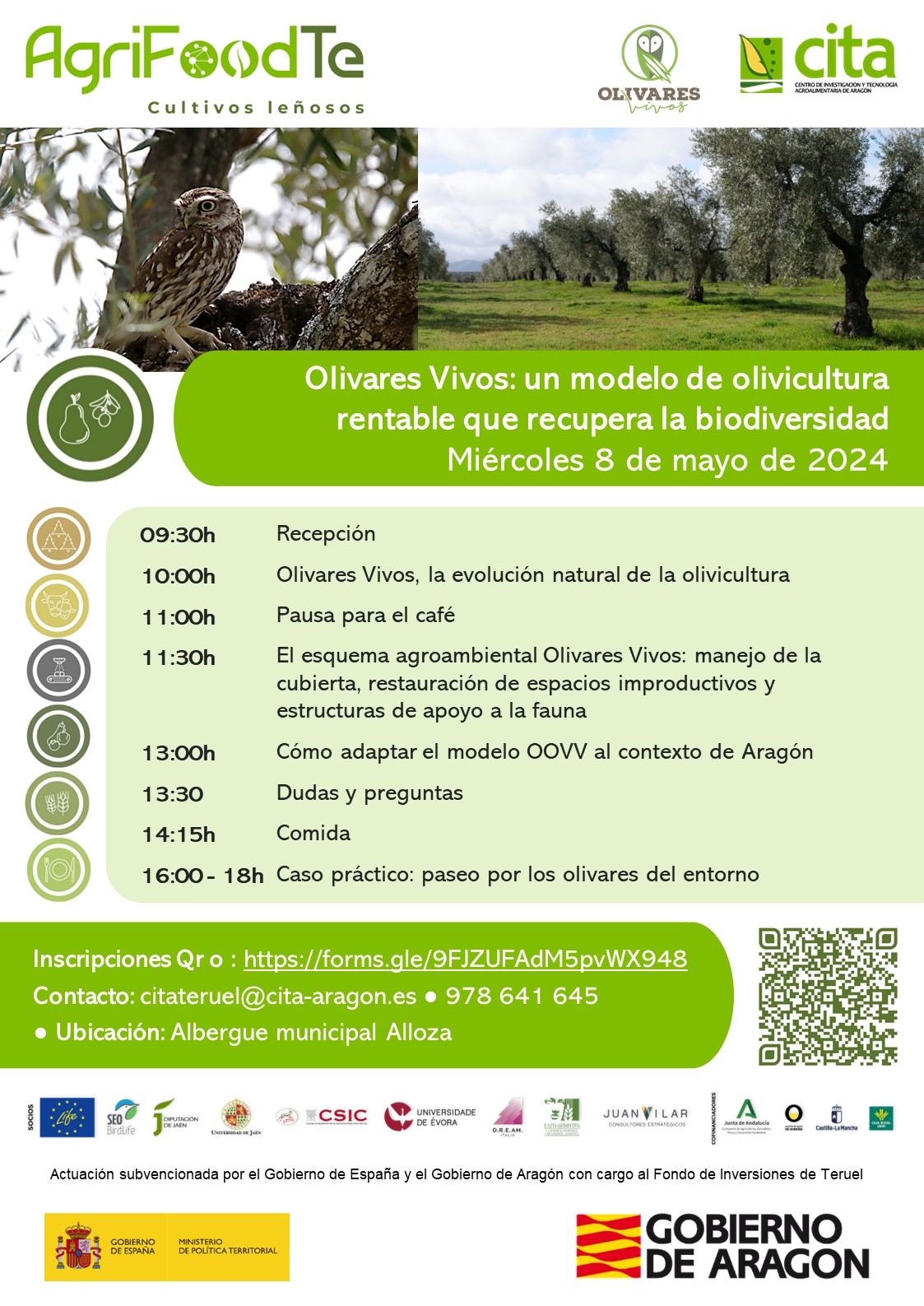 Jornada Olivares Vivos: un modelo de olivicultura rentable que recupera la biodiversidad.