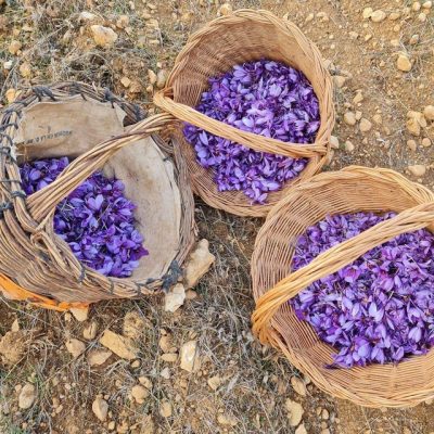 La Carrasca, ha sido galardonada por su agua de mar con azafrán ecológico