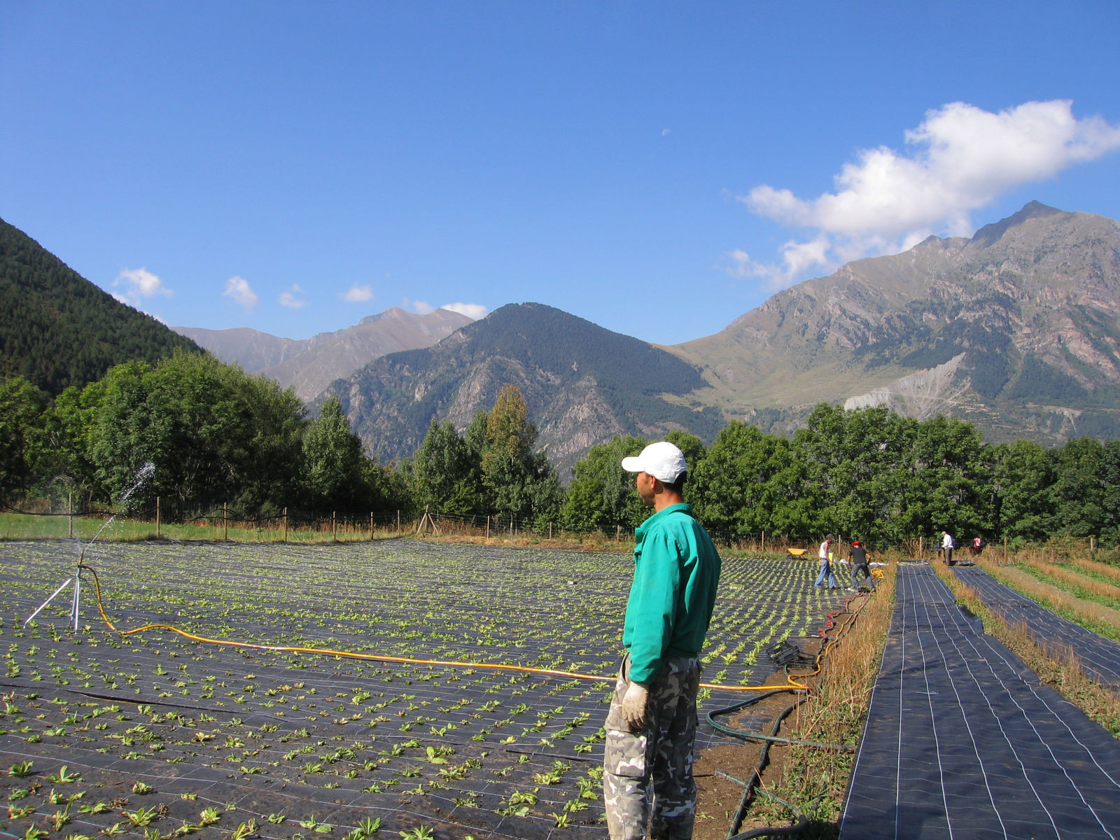 España retoma el liderazgo europeo en superficie de producción ecológica