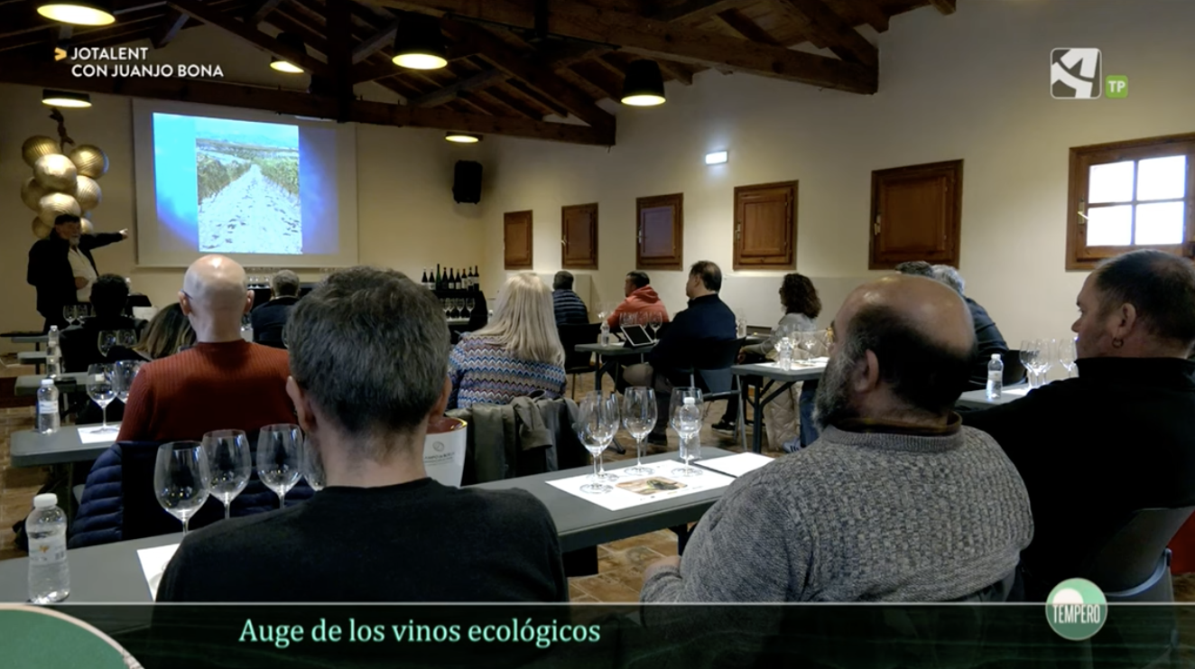 Vino ecológico en Tempero, de Aragón TV