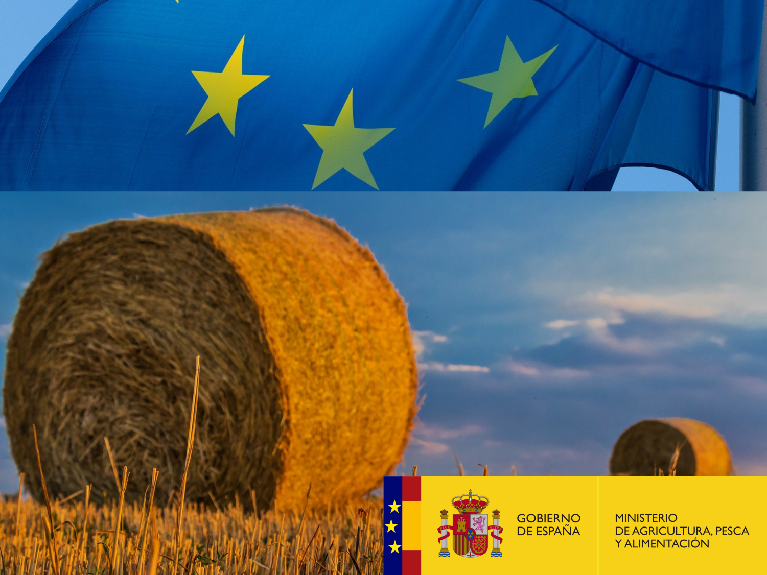 La Comisión Europea aprueba la modificación del plan estratégico de la PAC propuesta por España