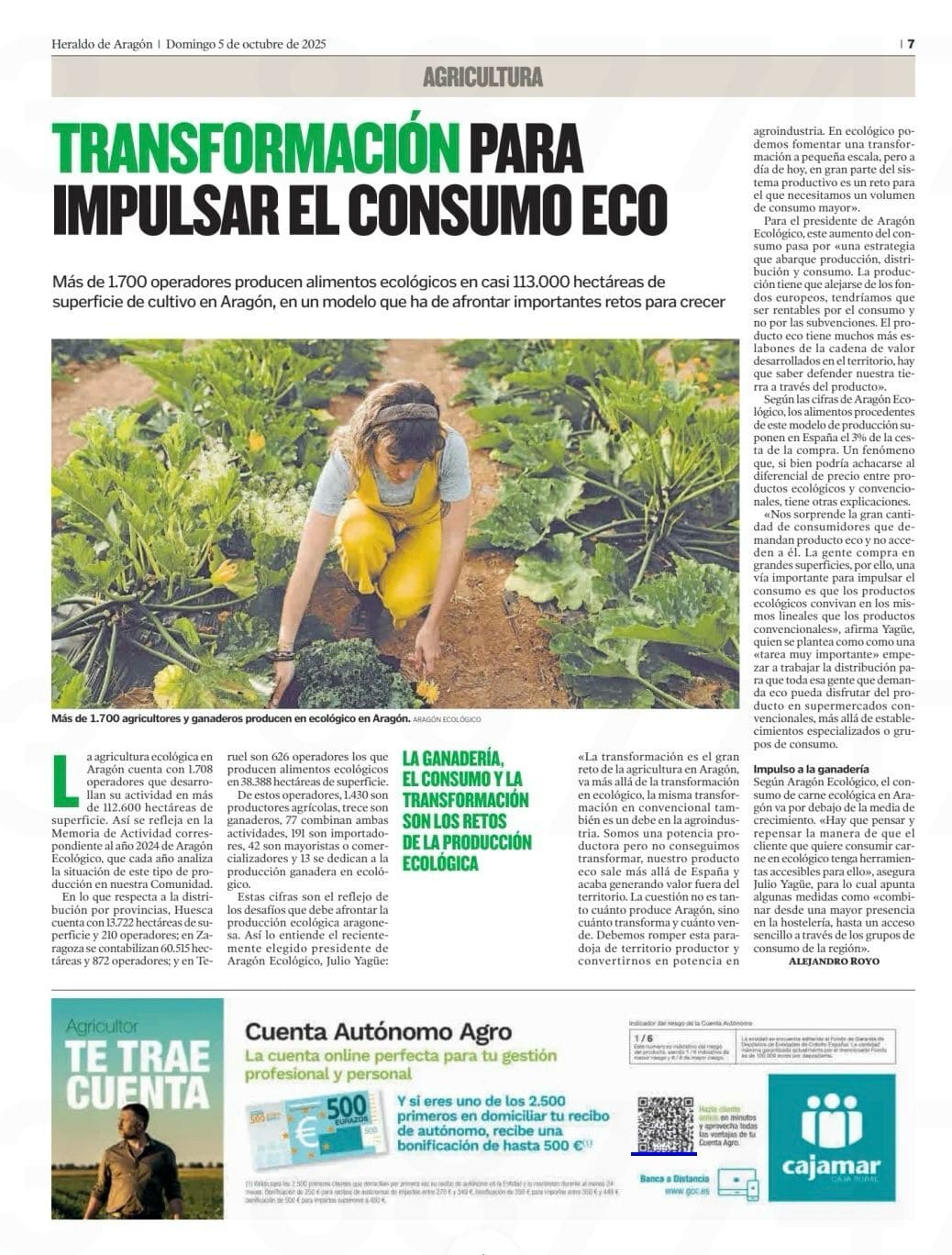 La transformación necesaria para impulsar el consumo eco en Aragón