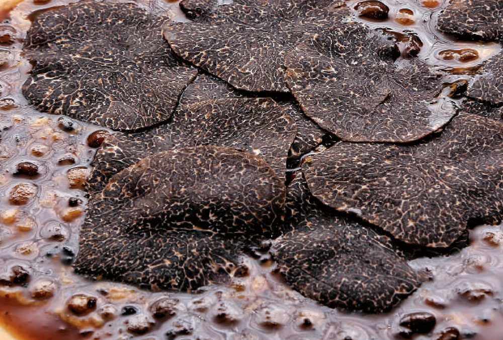 Lentejas trufadas con royal de foie
