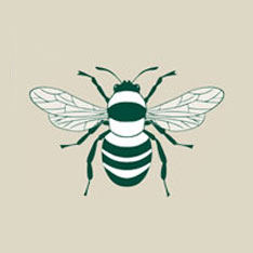 Abejorro