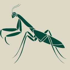 Mantis