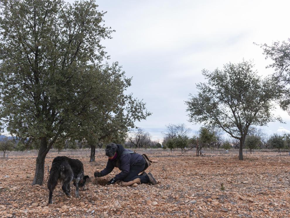Aragón convoca 500.000 euros en ayudas para impulsar la calidad diferenciada de los productos alimentarios de Teruel