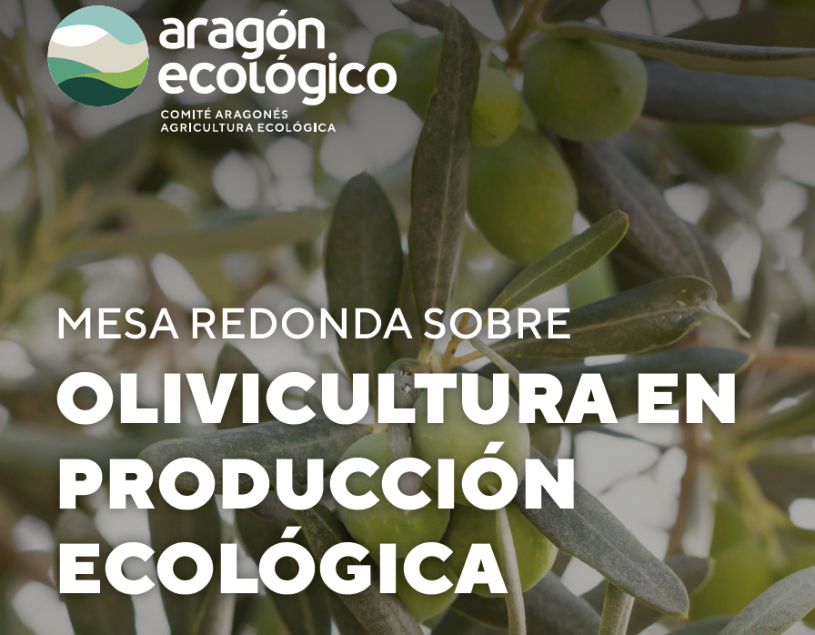 Encuentro de profesionales de la olivicultura en producción ecológica para compartir experiencia del sector
