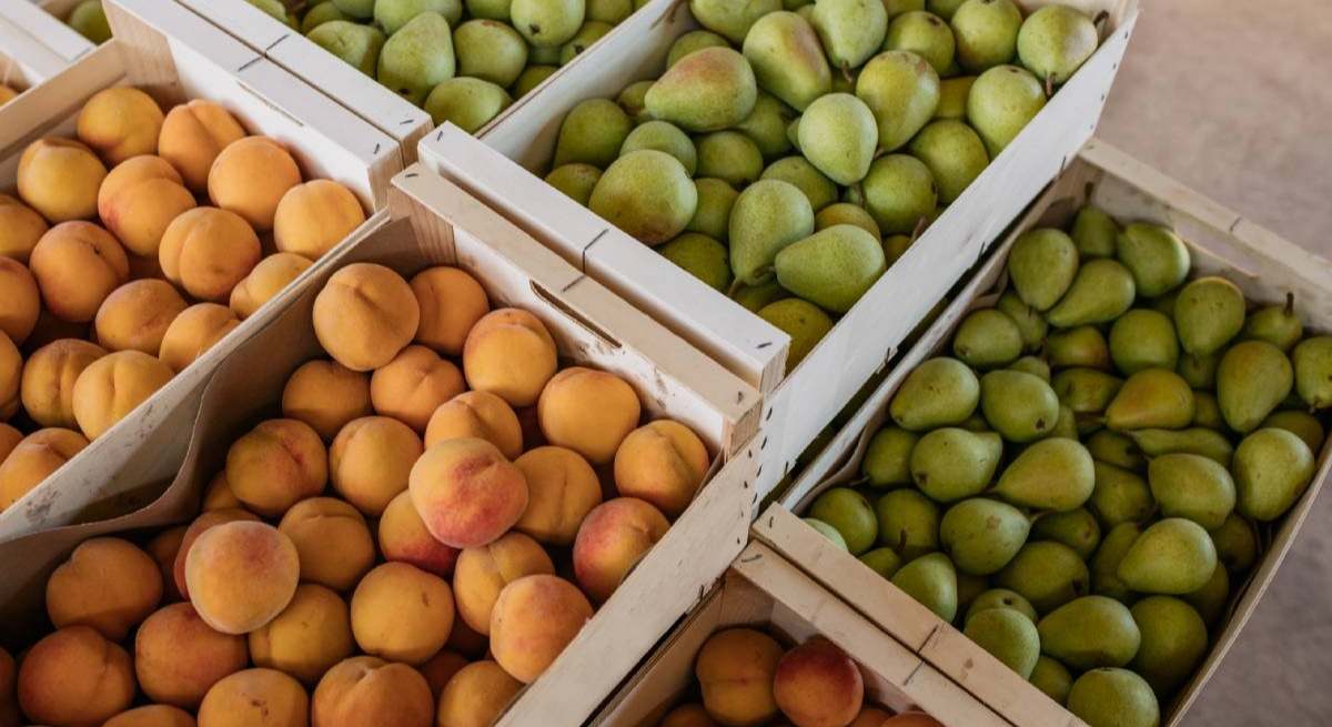 Comer Bio alía a 150 agricultores ecológicos para ganar músculo y conquistar nuevos mercados