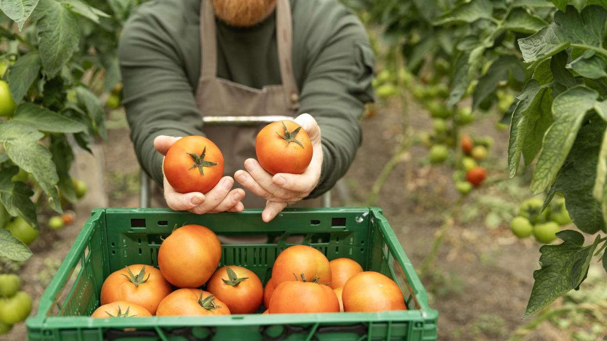 Entra en vigor una nueva directiva europea para acabar con el ecopostureo